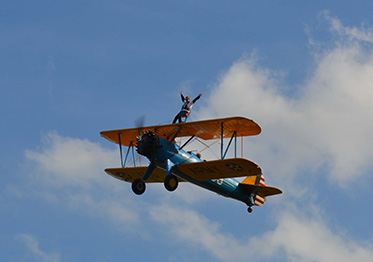 Enham Trust - Wing Walker