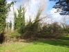 around-town-13th-feb-02