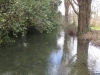 around-town-13th-feb-03