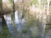 around-town-13th-feb-06