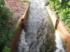 around-town-13th-feb-12