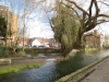 around-town-13th-feb-19