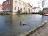 around-town-13th-feb-20