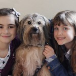 Andover Musical Theatre Company Bring Annie to Town