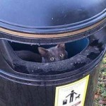 Who, or What is Spotted In Andover? – An Interview with POM