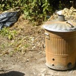 Sign up for This Year’s Garden Waste Collection Service
