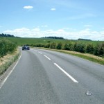 Protecting Roadside Verges of Ecological Importance