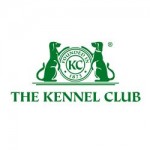 Andover Pointer Wins Kennel Club HPR Championship