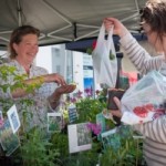 May’s Farmers’ and Crafts Market Blossoms in Andover This Sunday